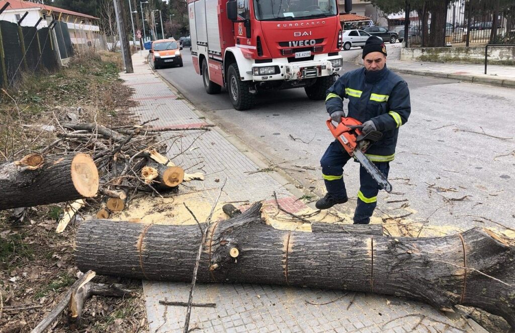 Λάρισα: Πτώσεις δέντρων σε Νέα Πολιτεία και Αβέρωφ