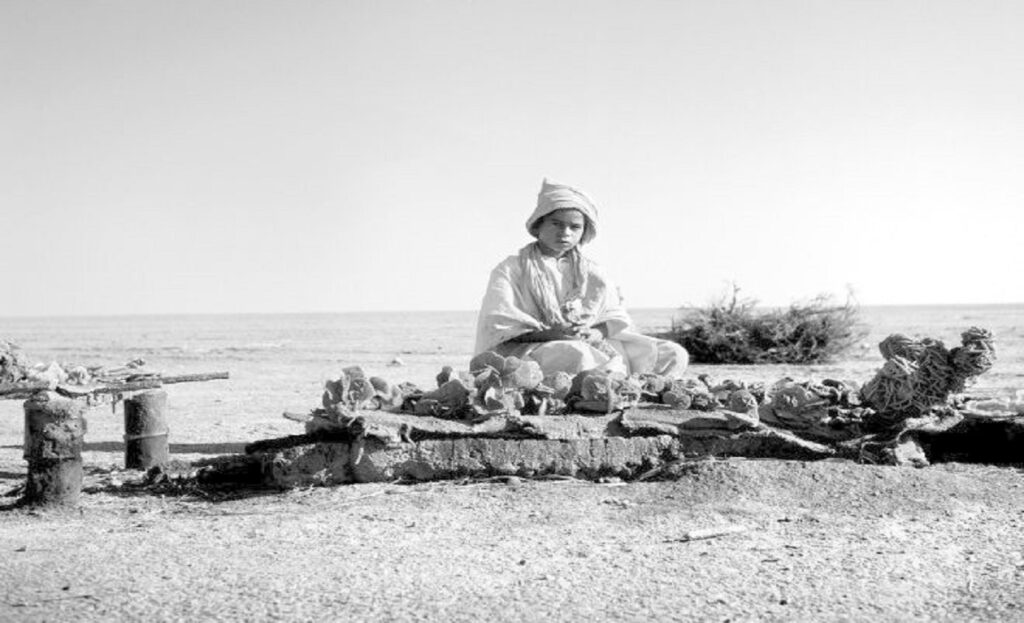 Από την Αφρική μέχρι τον Πλαταμώνα: Ταξίδι στον κόσμο μ’ ένα κλικ