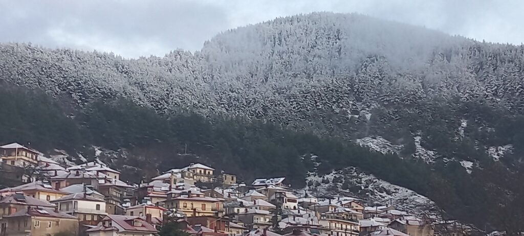 Λιβάδι Ελασσόνας: Έπεσε το πρώτο χιόνι