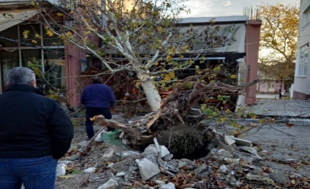 Πλάτανος ξεριζώθηκε και έπεσε πάνω σε καφετέρια στο Βελεστίνο