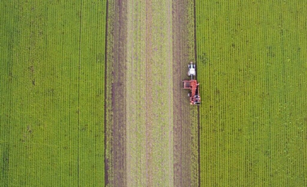 Ανοίγει η πλατφόρμα για το πρόγραμμα των «Νέων Γεωργών» προϋπολογισμού 420 εκατ. Ευρώ