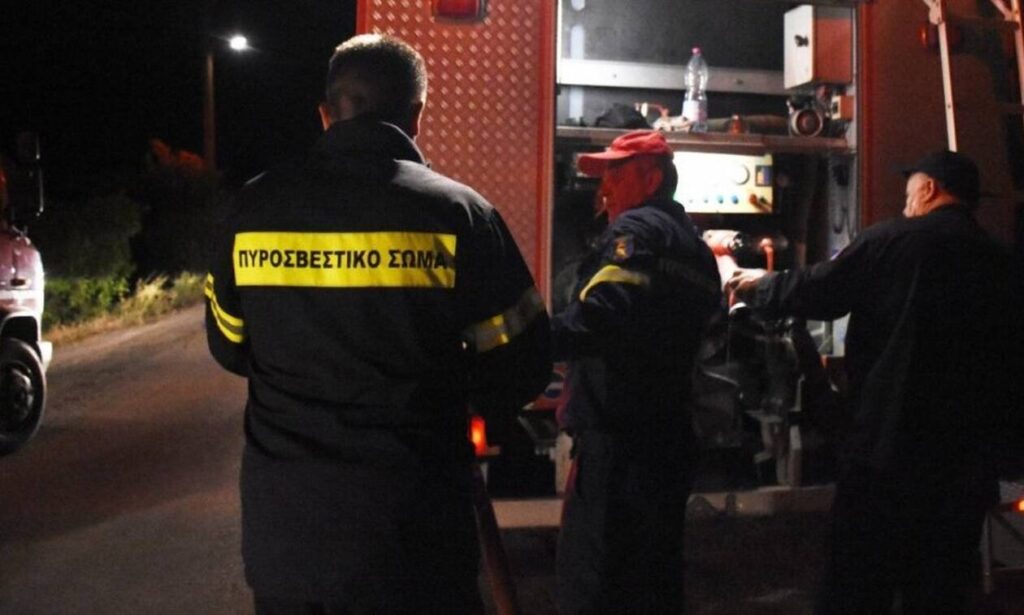 Φωτιά σε κτηνοτροφική μονάδα στην Ελασσόνα